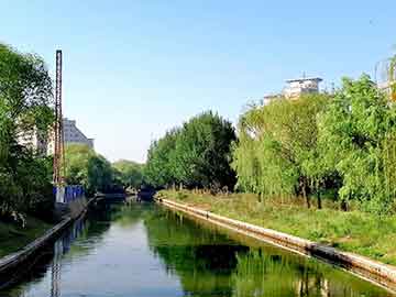 爱上海：Fleeing the hustle and bustle of the city, seeking tranquility and treasures in Shanghai's backyard garden