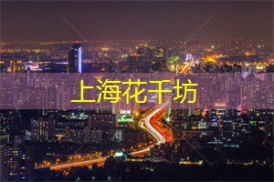 上海新茶工作室：在上海新茶工作室中，品味茶叶背后的艺术灵感！