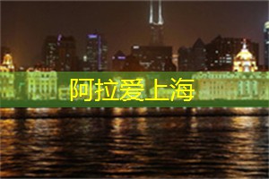 上海龙凤419：大城市的悠闲绿洲，上海后花园让你尽享生活的美好！