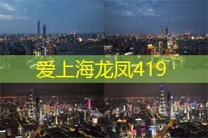 爱上海龙凤419：心灵的脚步