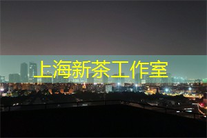 爱上海：并揭示其引人瞩目的特色